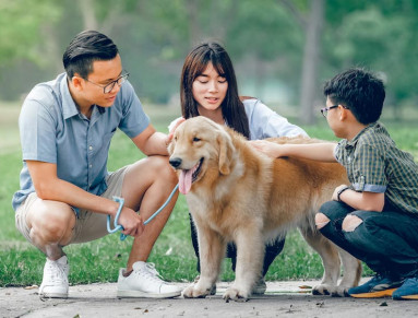Une famille et son chien dans un parc. 