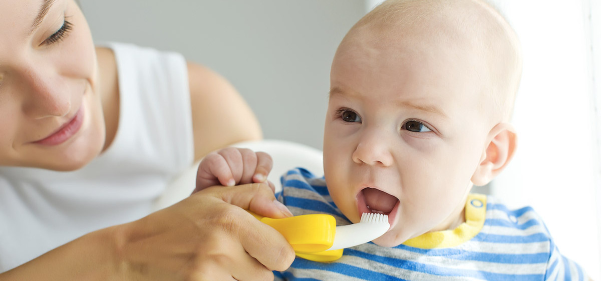 Dès 6 mois, vous pouvez brosser les dents de votre enfant avec une brosse à petite tête et à poils souples.