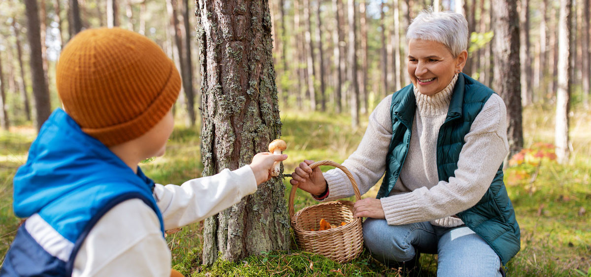 Une grand-mère et son petit-fils cueillent des champignons en forêt.