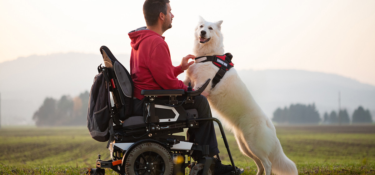 Un jeune homme en fauteuil caresse son chien d'assistance