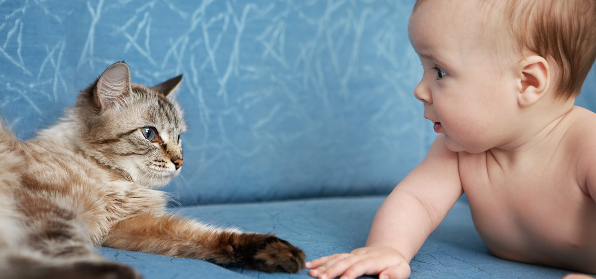 Cohabitation bébé / animal de compagnie : ce qu'il faut savoir
